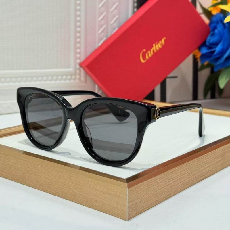 Cartier Glasses 08smh260 (6)