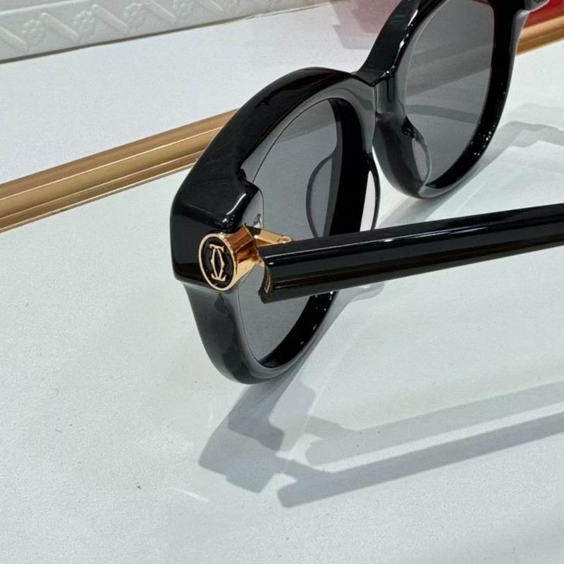 Cartier Glasses 08smh260 (8)