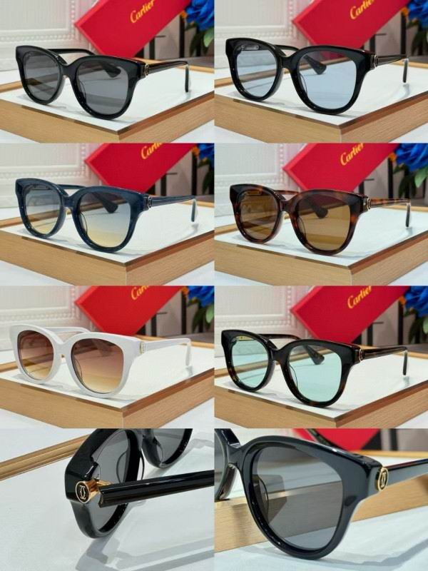 Cartier Glasses 08smh260 (9)