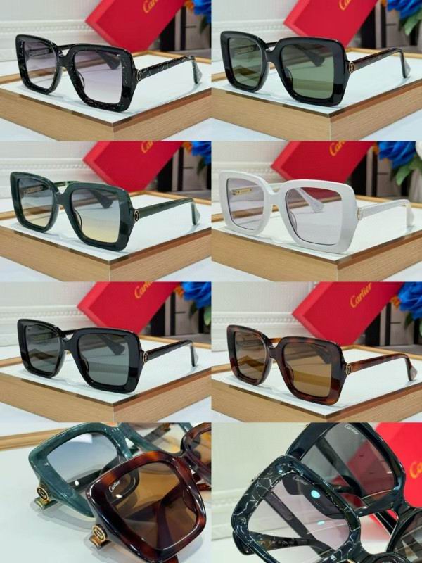 Cartier Glasses 08smh261 (10)