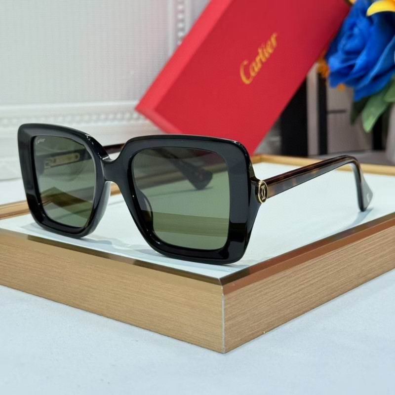 Cartier Glasses 08smh261 (2)