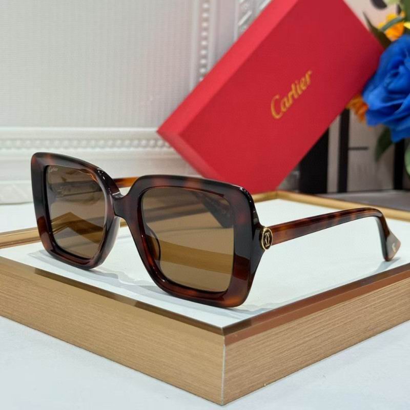 Cartier Glasses 08smh261 (3)