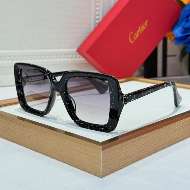 Cartier Glasses 08smh261 (4)