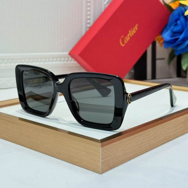 Cartier Glasses 08smh261 (6)