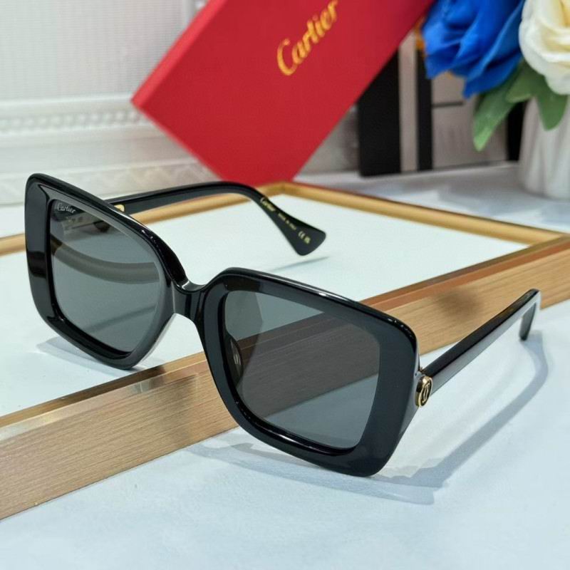 Cartier Glasses 08smh261 (7)