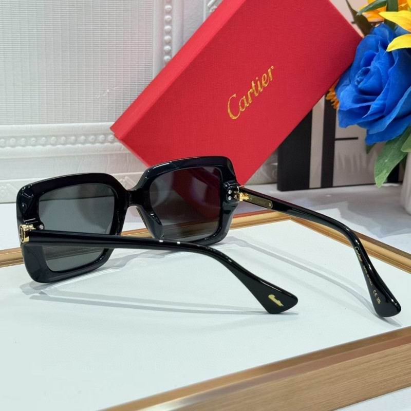 Cartier Glasses 08smh261 (8)