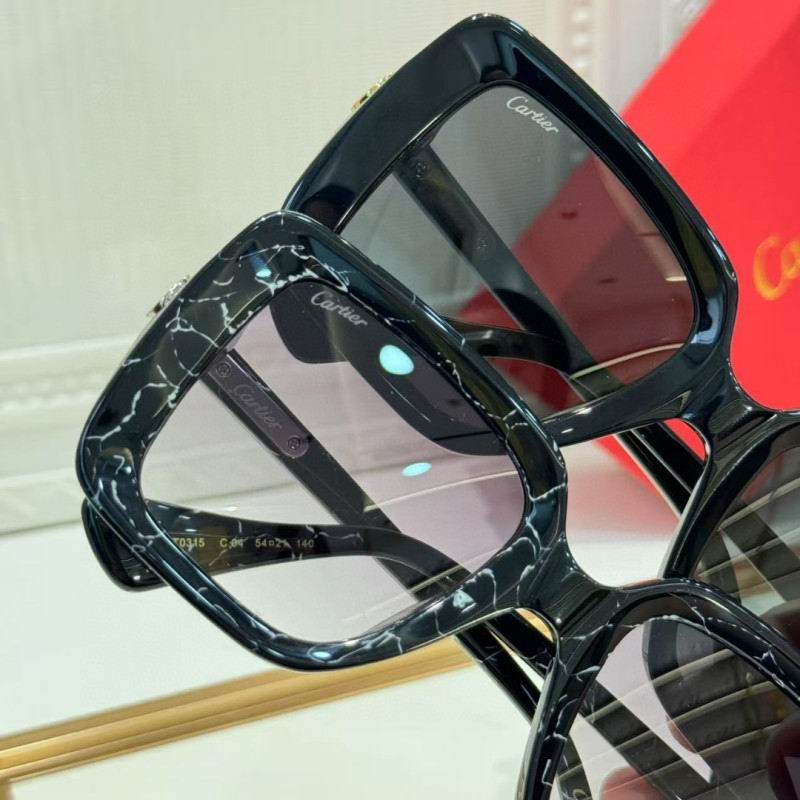 Cartier Glasses 08smh261 (9)