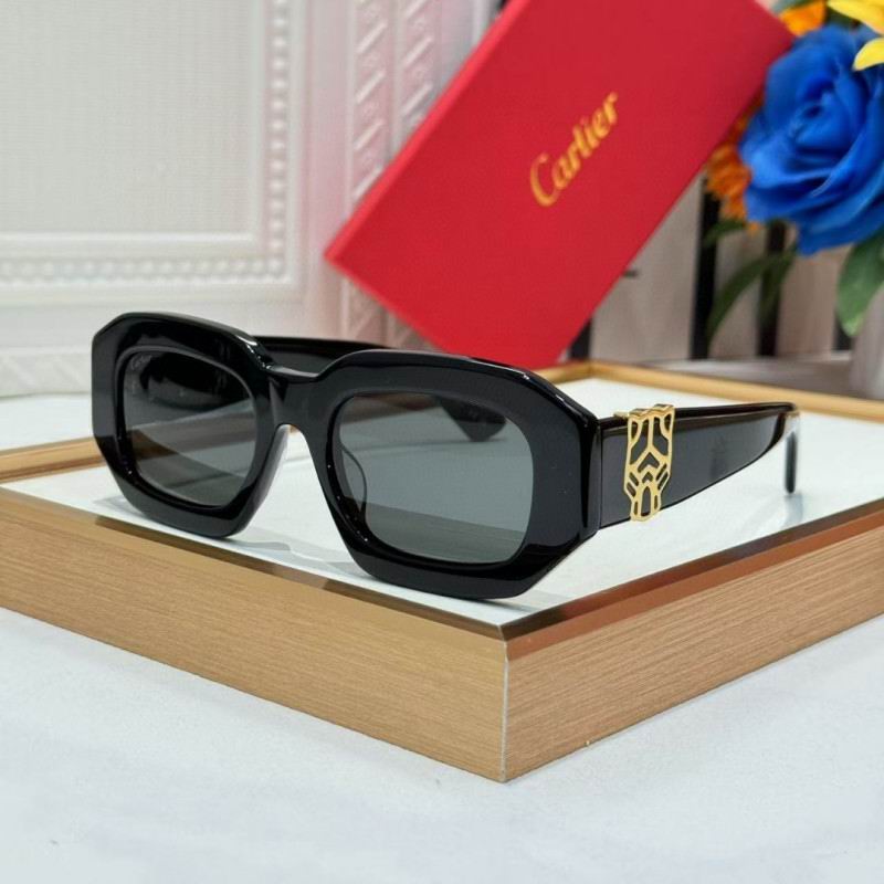 Cartier Glasses 08smh262 (1)