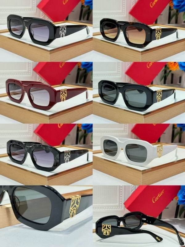 Cartier Glasses 08smh262 (10)