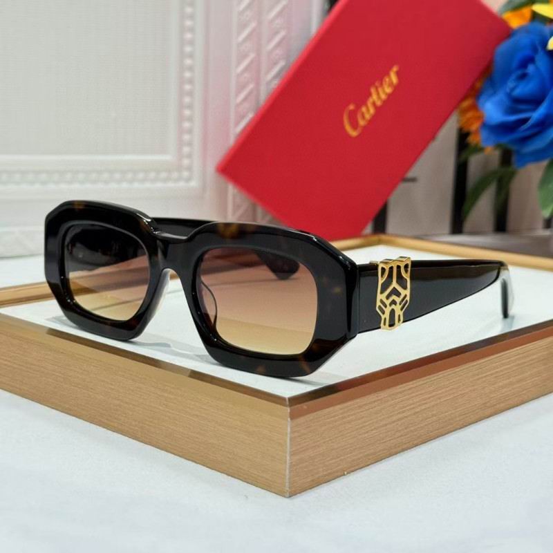 Cartier Glasses 08smh262 (2)