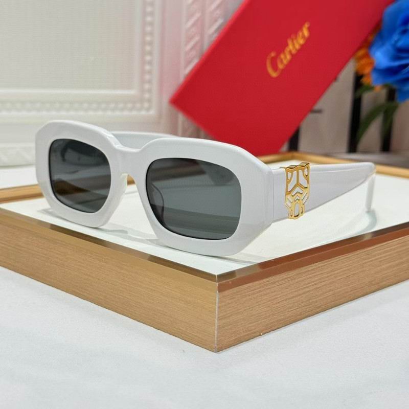 Cartier Glasses 08smh262 (3)