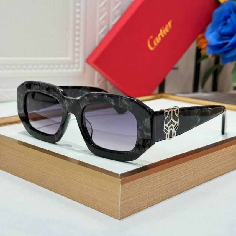 Cartier Glasses 08smh262 (4)