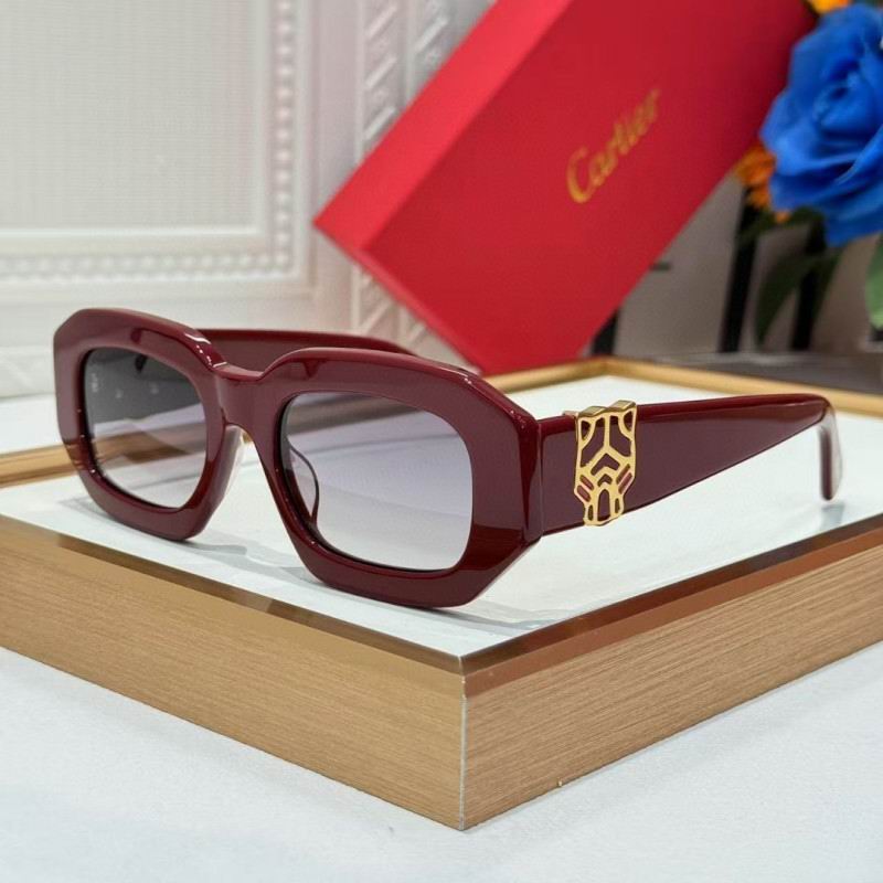 Cartier Glasses 08smh262 (5)