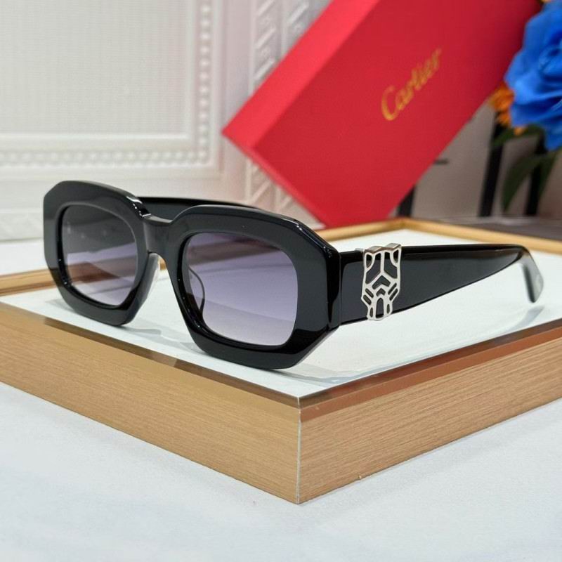 Cartier Glasses 08smh262 (6)