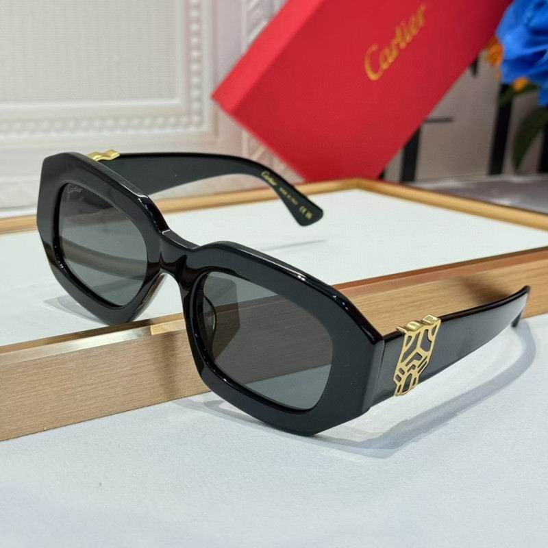 Cartier Glasses 08smh262 (7)