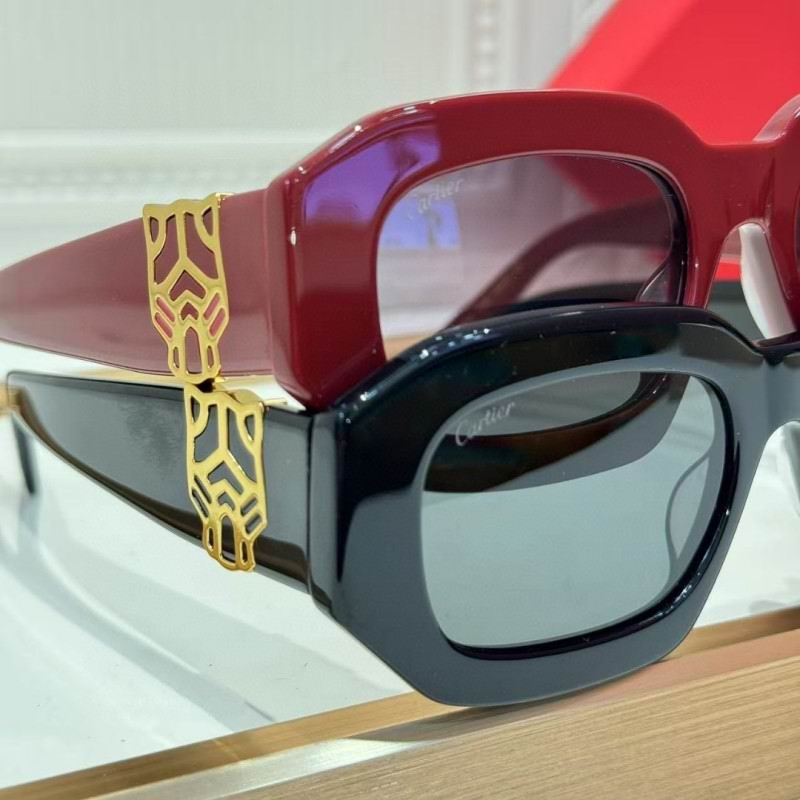 Cartier Glasses 08smh262 (8)