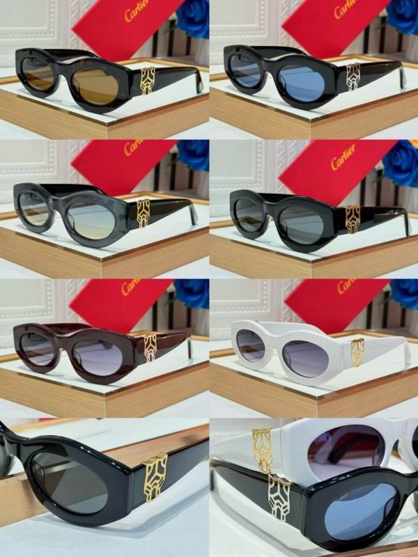 Cartier Glasses 08smh263 (10)
