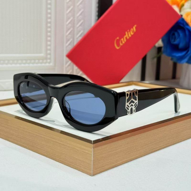 Cartier Glasses 08smh263 (2)