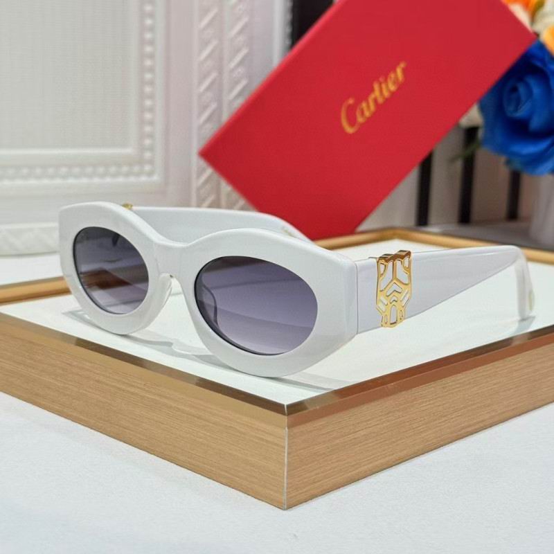 Cartier Glasses 08smh263 (3)