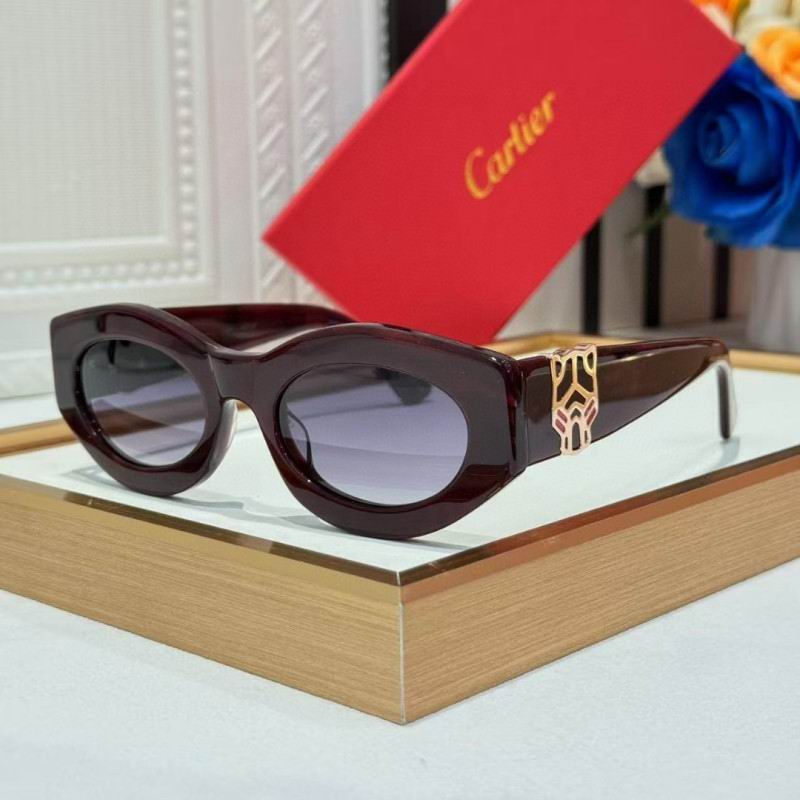 Cartier Glasses 08smh263 (4)