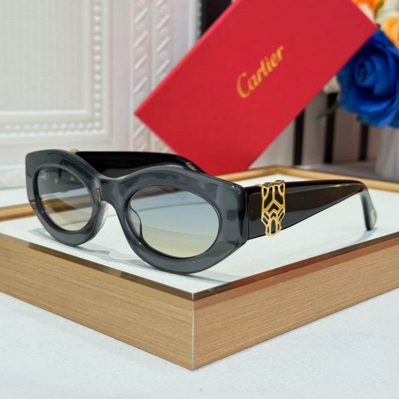Cartier Glasses 08smh263 (5)