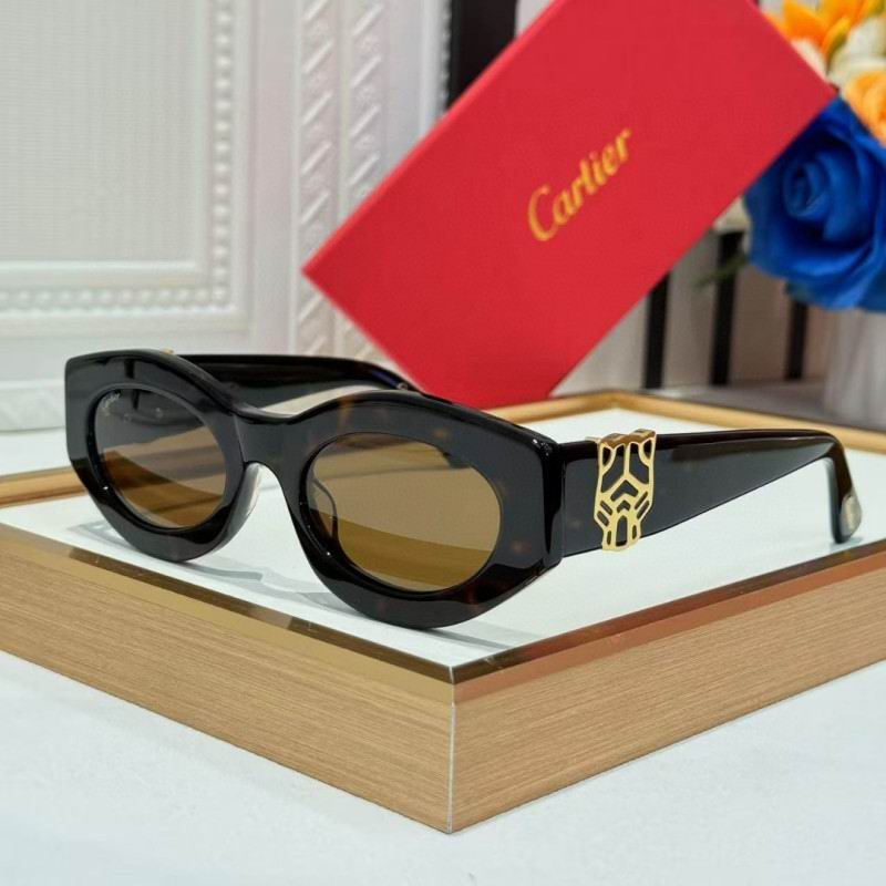 Cartier Glasses 08smh263 (6)