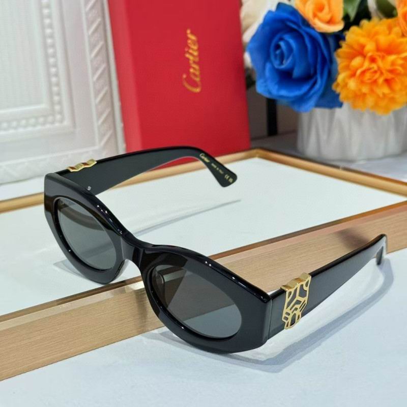 Cartier Glasses 08smh263 (7)