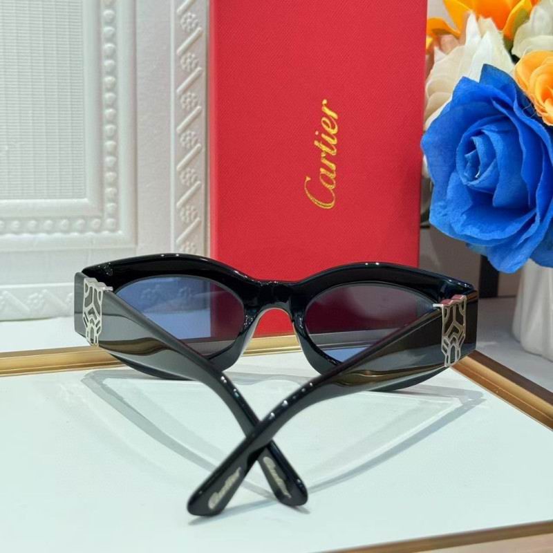 Cartier Glasses 08smh263 (8)