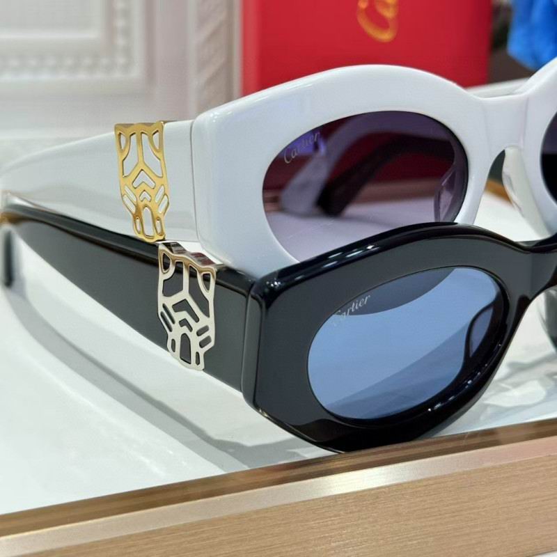 Cartier Glasses 08smh263 (9)