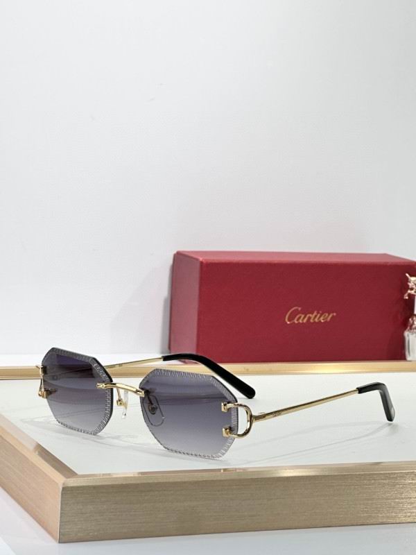 Cartier Glasses 08smh264 (1)