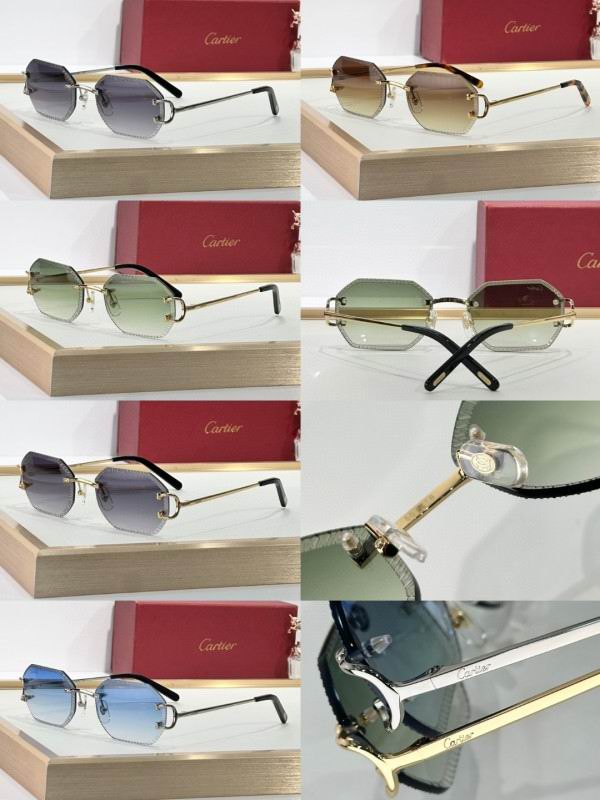 Cartier Glasses 08smh264 (10)