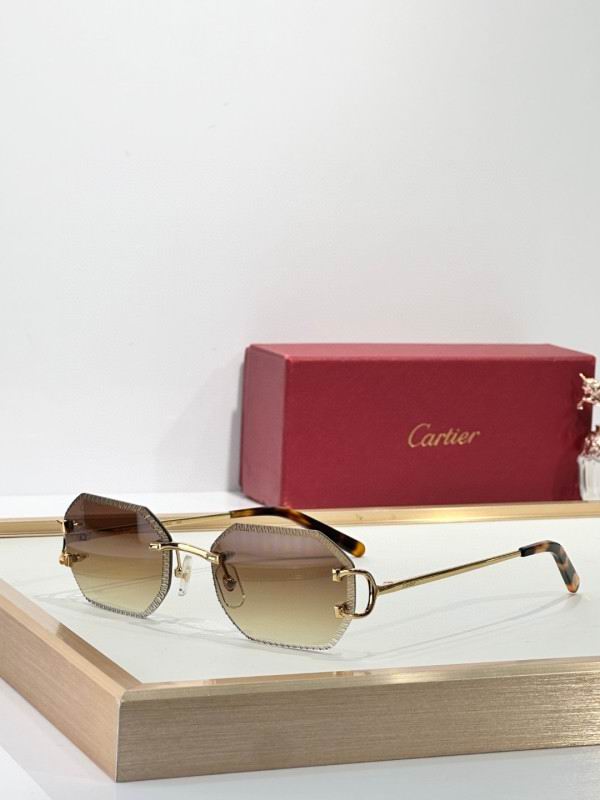 Cartier Glasses 08smh264 (3)