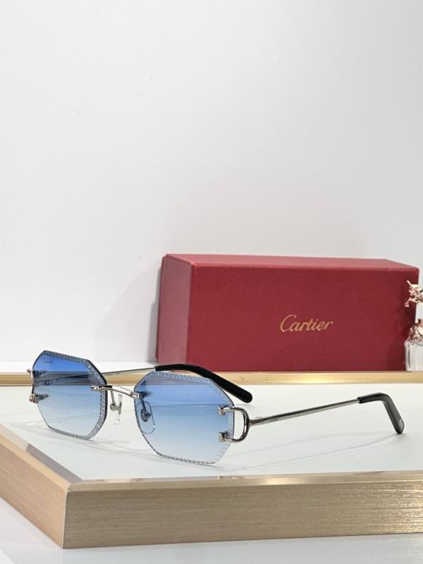 Cartier Glasses 08smh264 (4)