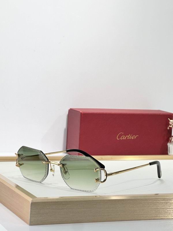 Cartier Glasses 08smh264 (5)