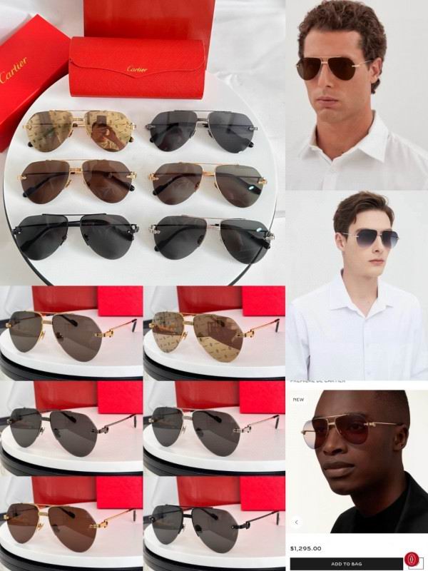 Cartier Glasses 08smh265 (10)