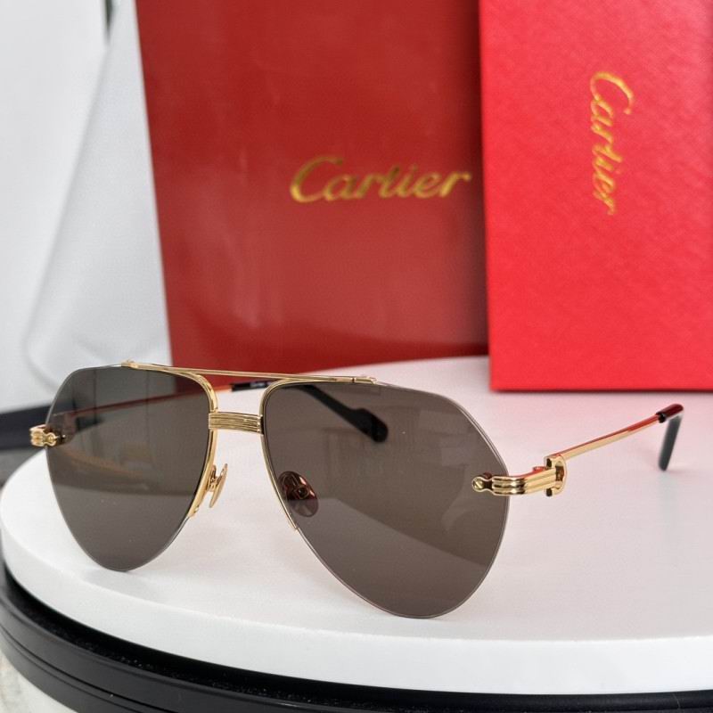 Cartier Glasses 08smh265 (2)