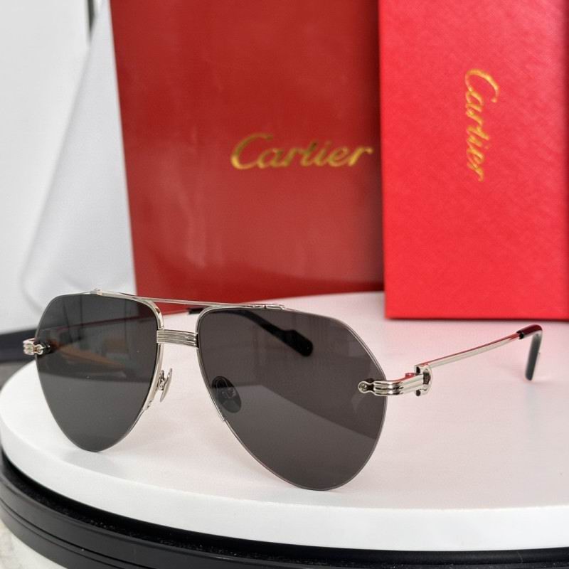 Cartier Glasses 08smh265 (5)
