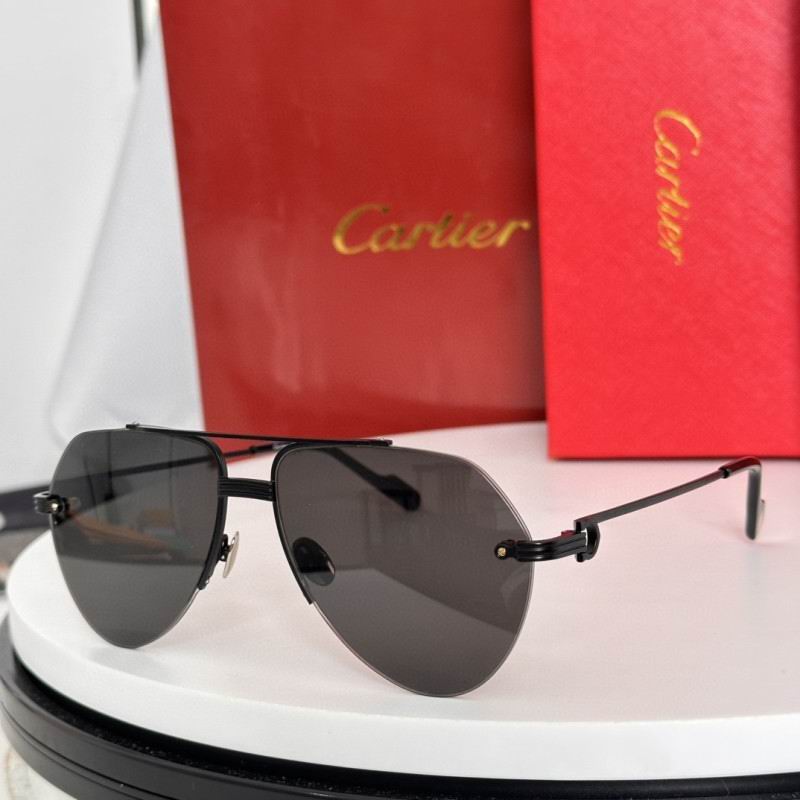Cartier Glasses 08smh265 (7)