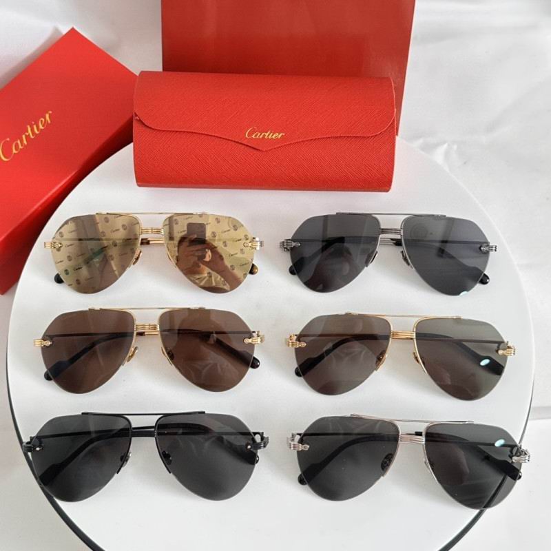 Cartier Glasses 08smh265 (9)