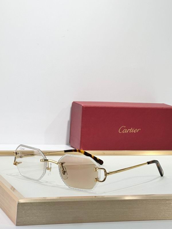 Cartier Glasses 08smh266 (2)