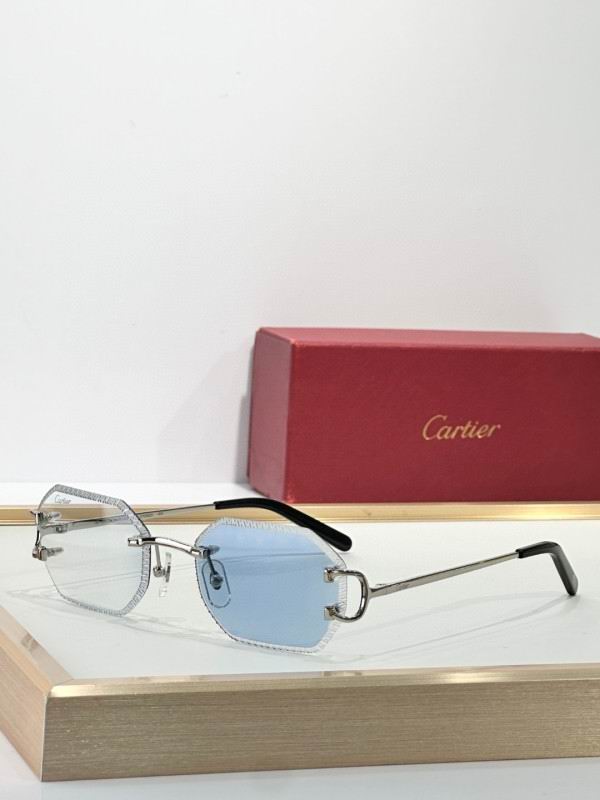 Cartier Glasses 08smh266 (4)