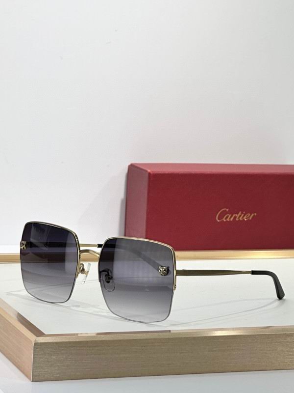Cartier Glasses 08smh267 (2)