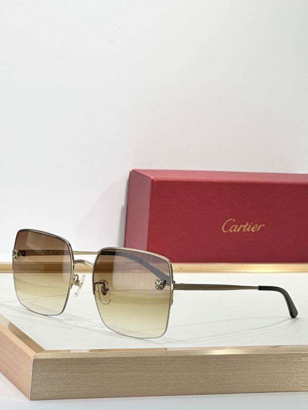 Cartier Glasses 08smh267 (3)