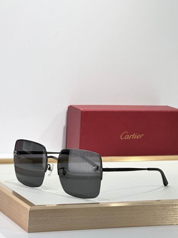 Cartier Glasses 08smh267 (6)