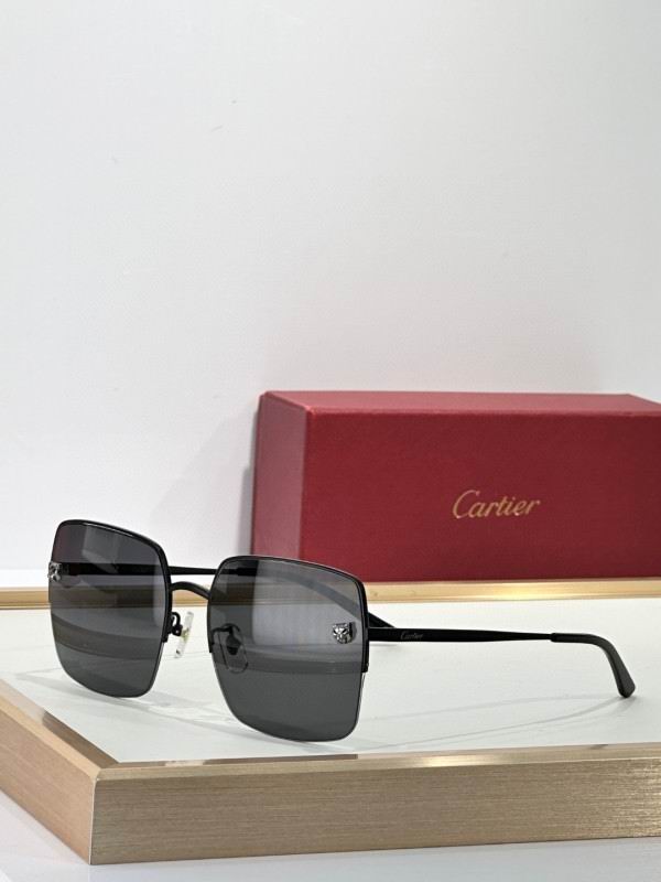 Cartier Glasses 08smh267 (7)