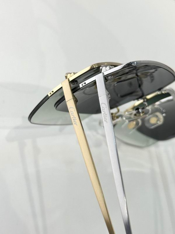 Cartier Glasses 08smh267 (9)