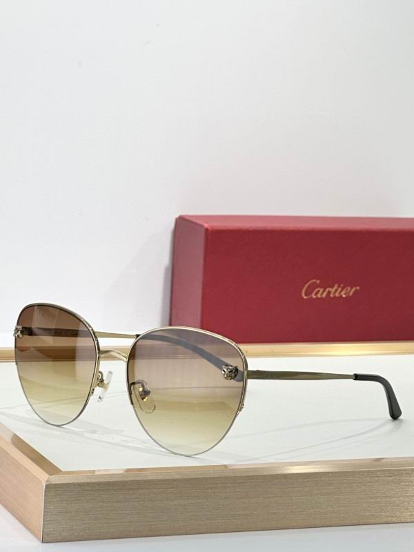 Cartier Glasses 08smh268 (1)