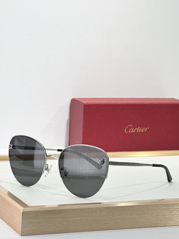Cartier Glasses 08smh268 (4)