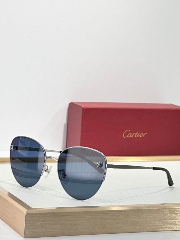 Cartier Glasses 08smh268 (6)