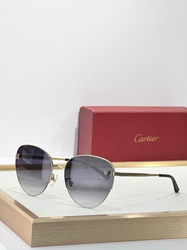 Cartier Glasses 08smh268 (7)